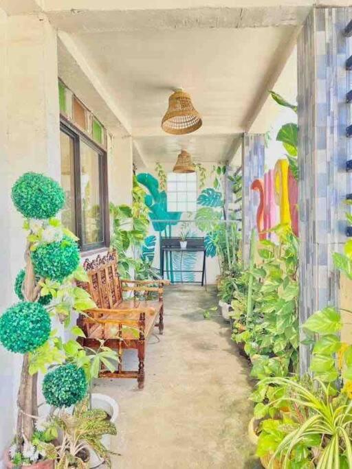 Precious Homestay Burgos  المظهر الخارجي الصورة